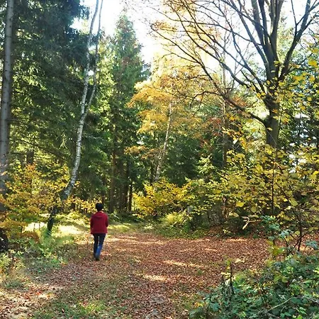 Bauernhof Mittereibenberger Farm stay *