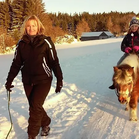 Bauernhof Mittereibenberger Farm stay