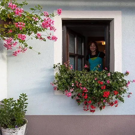 Farm stay Bauernhof Mittereibenberger Liebenau (Upper Austria)